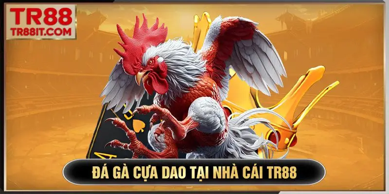đá gà cựa dao tại tr88
