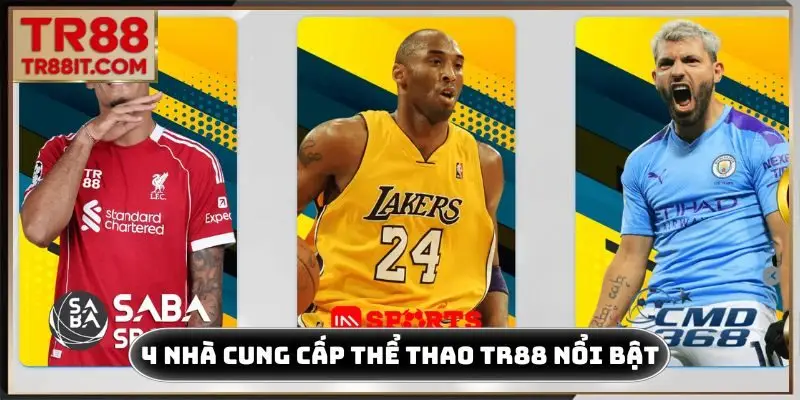 4 nhà cung cấp thể thao TR88 nổi bật