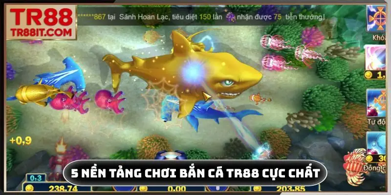 5 nền tảng chơi bắn cá TR88 cực chất