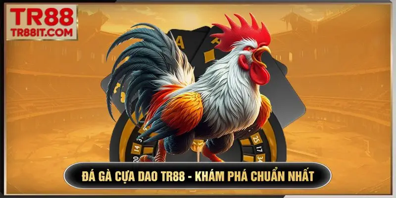 Đá gà cựa dao TR88 - Khám phá chuẩn nhất về sân chơi