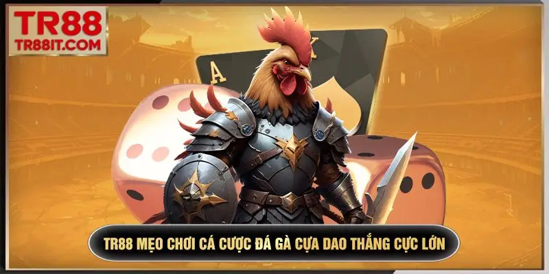 TR88 Mẹo chơi cá cược đá gà cựa dao thắng cực lớn