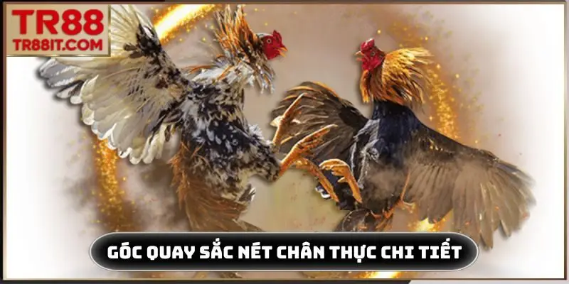 Góc quay sắc nét chân thực từng chi tiết