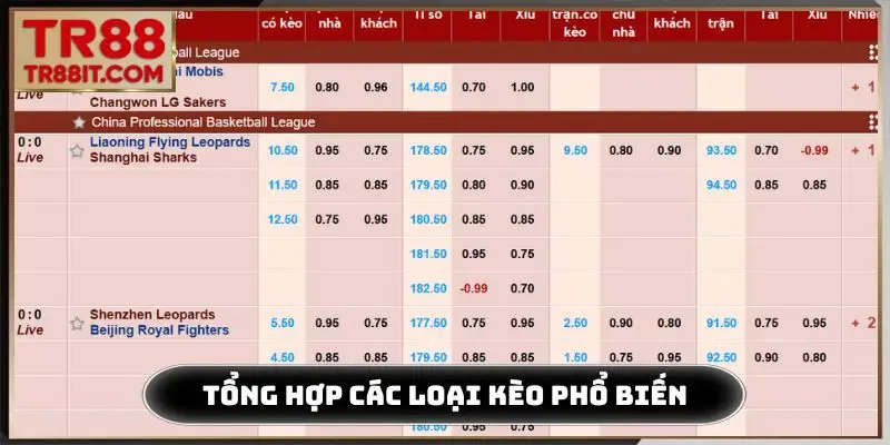 Bảng tổng hợp các loại kèo phổ biến
