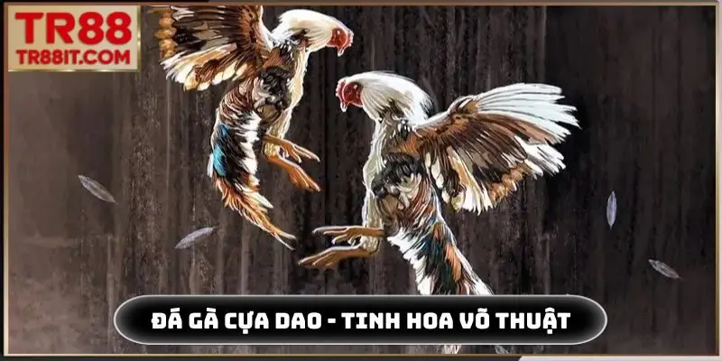 đá gà cựa dao